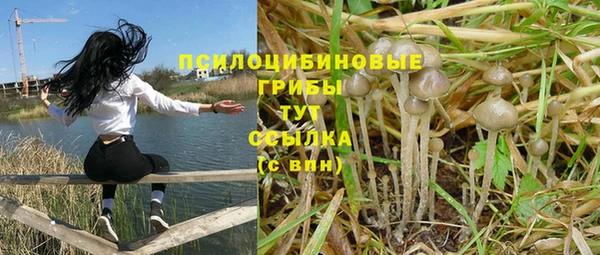 ALPHA PVP Володарск
