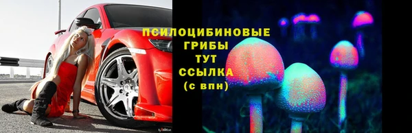 эйфоретик Горняк