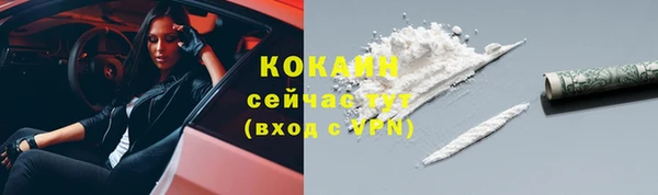 шишки Горно-Алтайск