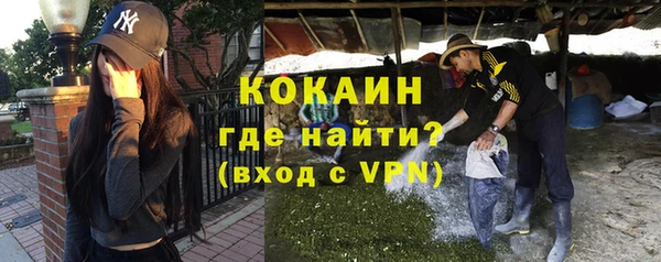 шишки Горно-Алтайск