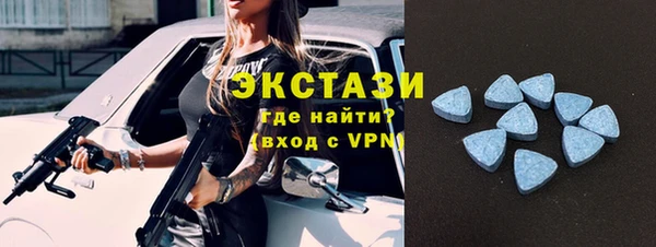 шишки Горно-Алтайск